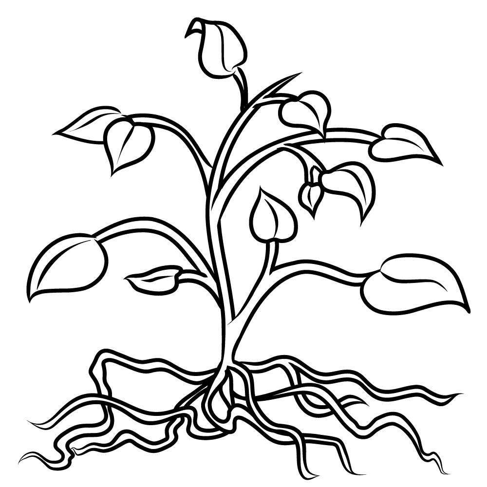 clipart plants black and white - photo #46