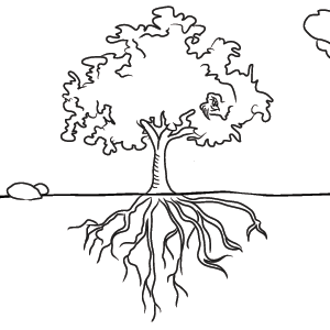 plant with roots drawing